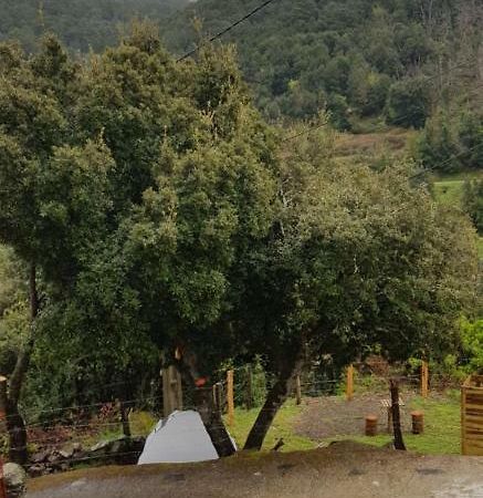 Camping L'Agrottu Au Coeur De La Corse Santa-Lucia-di-Mercurio Exterior photo