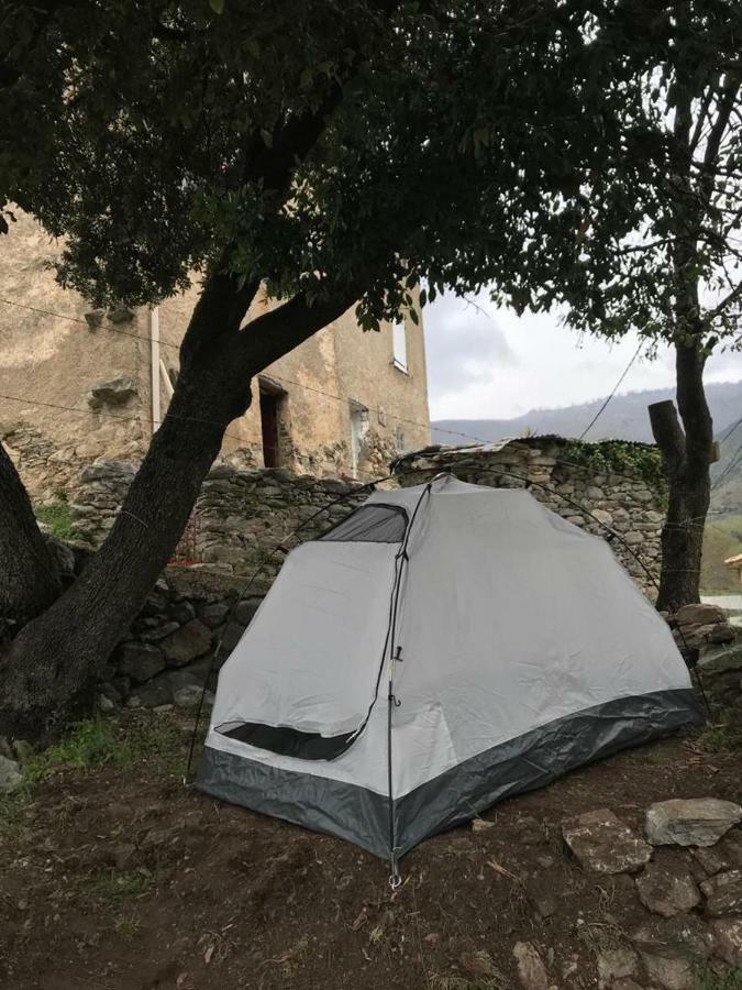 Camping L'Agrottu Au Coeur De La Corse Santa-Lucia-di-Mercurio Exterior photo