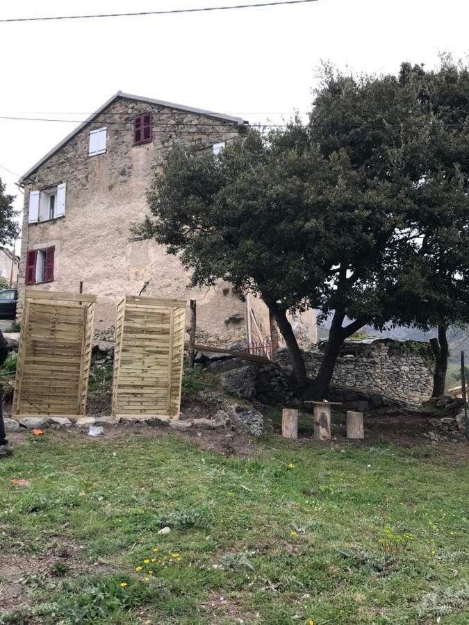 Camping L'Agrottu Au Coeur De La Corse Santa-Lucia-di-Mercurio Exterior photo